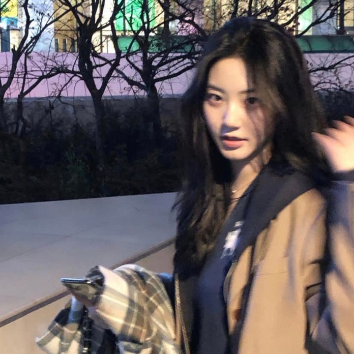 2008年香港一周票房冠军